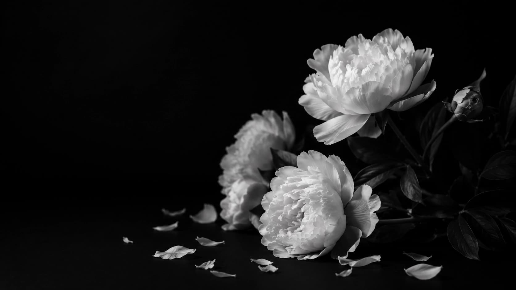 Floral abstract